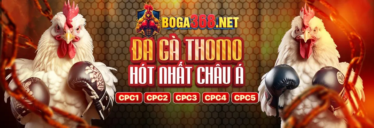 Người chơi xem đá gà trực tiếp trên điện thoại